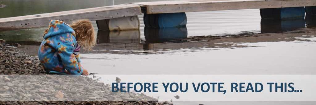 Before you vote 2024